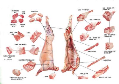 Cutting Facility